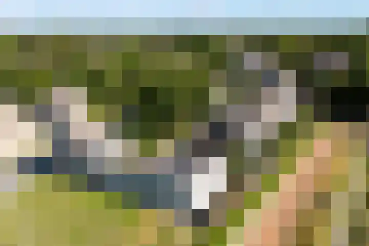 Admiraalsborch 10 Houten thumbnail 72