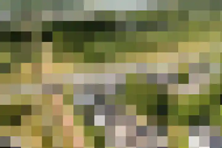 Admiraalsborch 10 Houten thumbnail 73