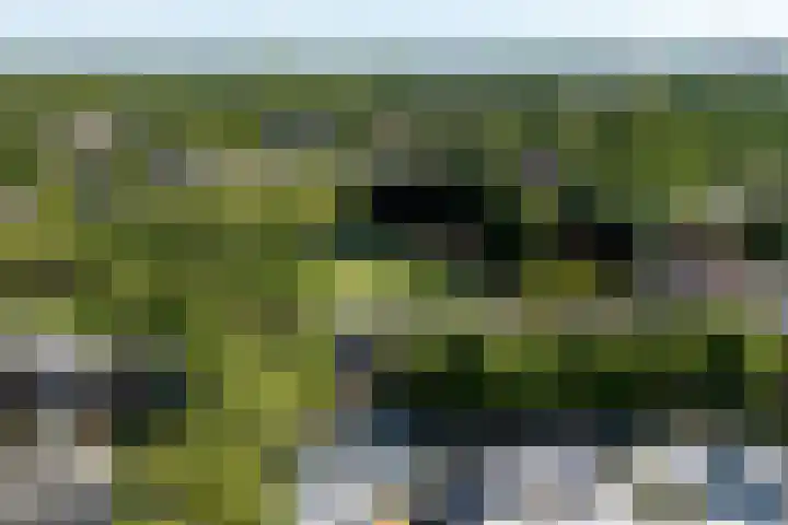 Admiraalsborch 10 Houten thumbnail 74