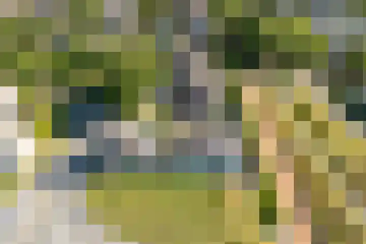 Admiraalsborch 10 Houten thumbnail 75