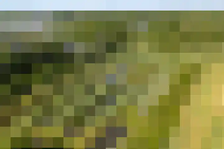 Admiraalsborch 10 Houten thumbnail 76