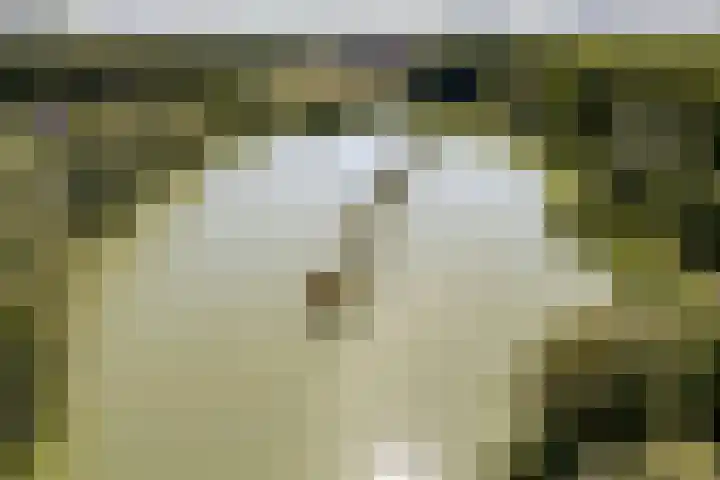 Admiraalsborch 10 Houten thumbnail 77