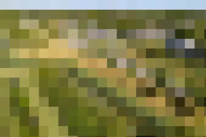 Admiraalsborch 10 Houten thumbnail 78