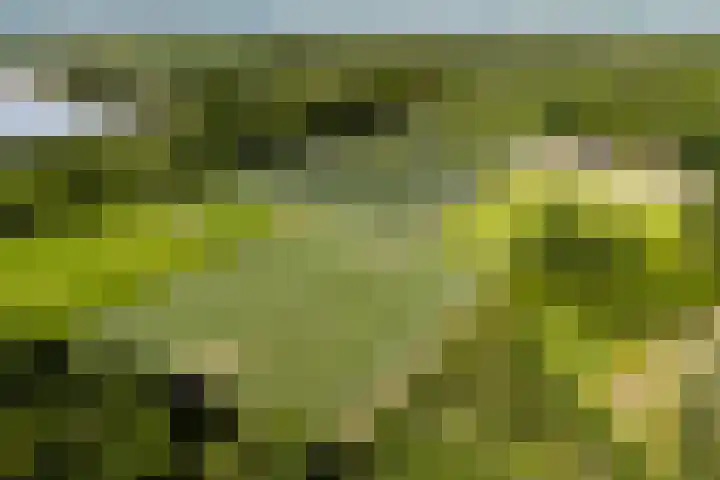 Admiraalsborch 10 Houten thumbnail 80