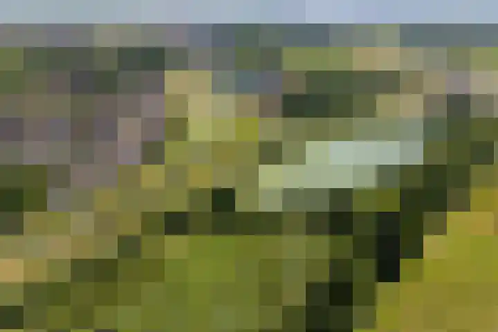 Admiraalsborch 10 Houten thumbnail 81