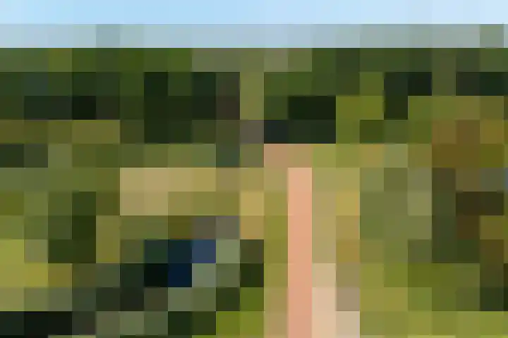 Admiraalsborch 10 Houten thumbnail 82