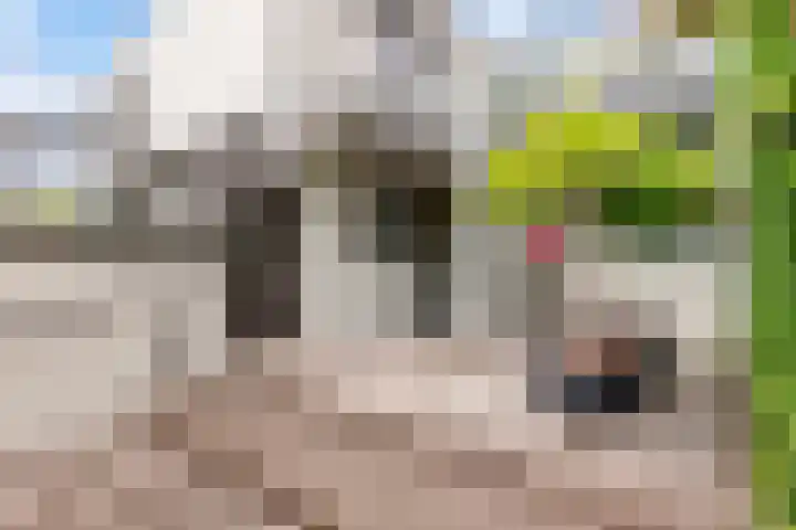 Admiraalsborch 10 Houten thumbnail 87