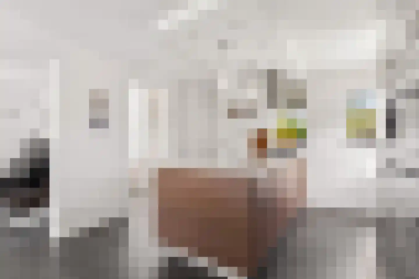 Admiraalsborch 12 Houten thumbnail 11