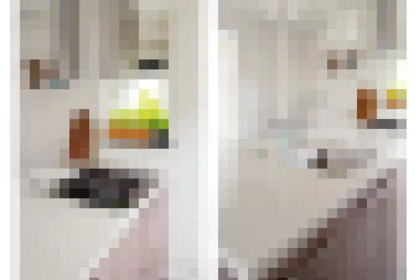 Admiraalsborch 12 Houten thumbnail 12