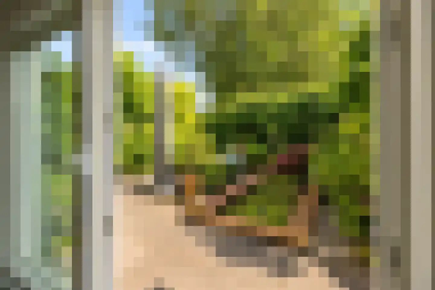 Admiraalsborch 12 Houten thumbnail 20