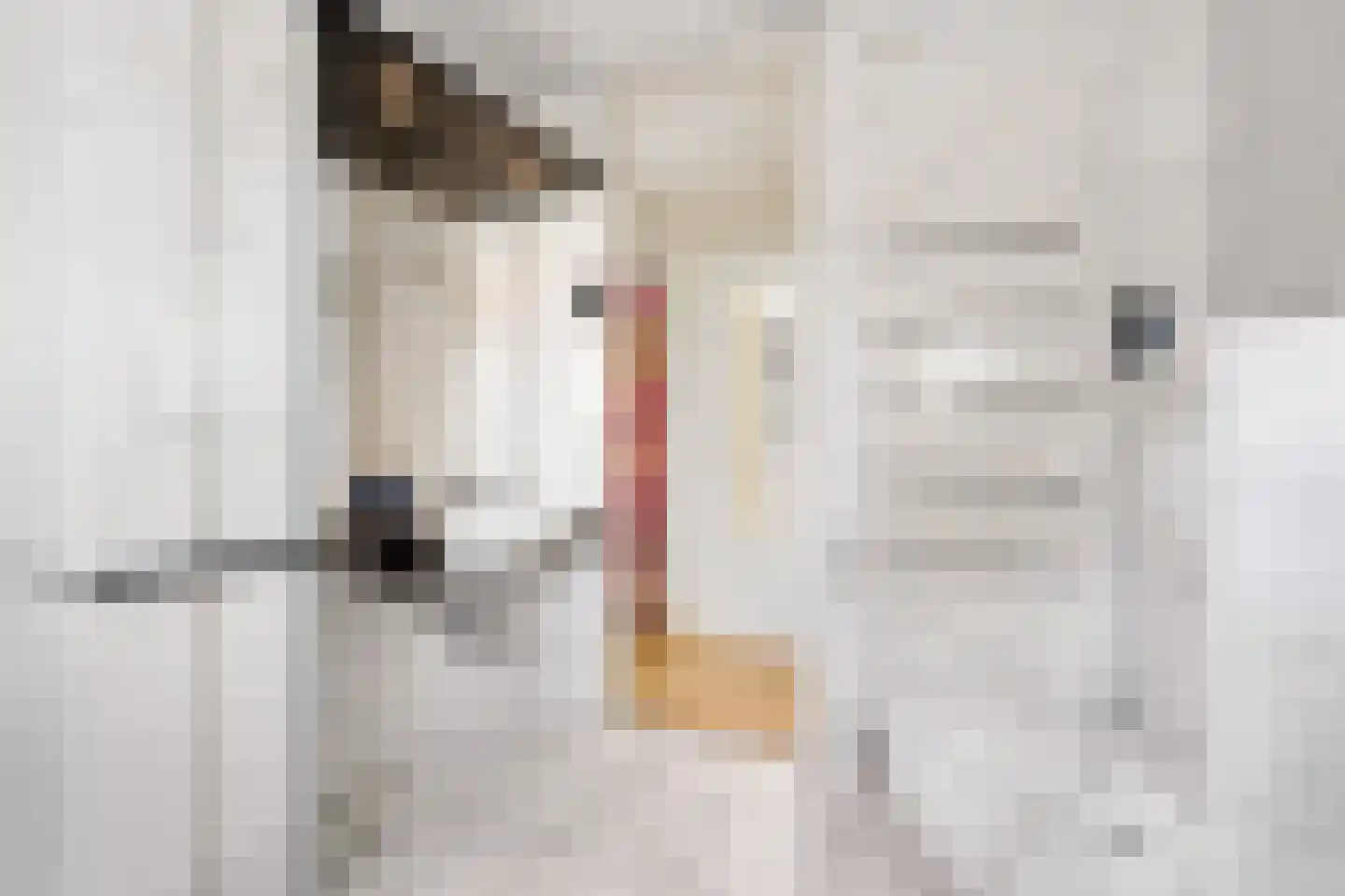 Admiraalsborch 12 Houten thumbnail 30