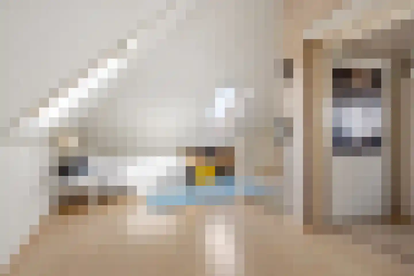 Admiraalsborch 12 Houten thumbnail 35