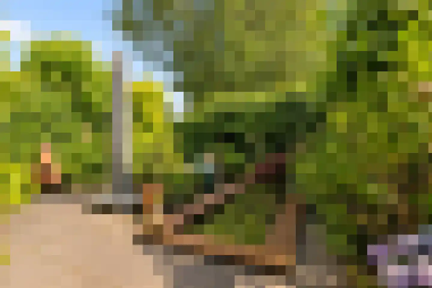 Admiraalsborch 12 Houten thumbnail 41