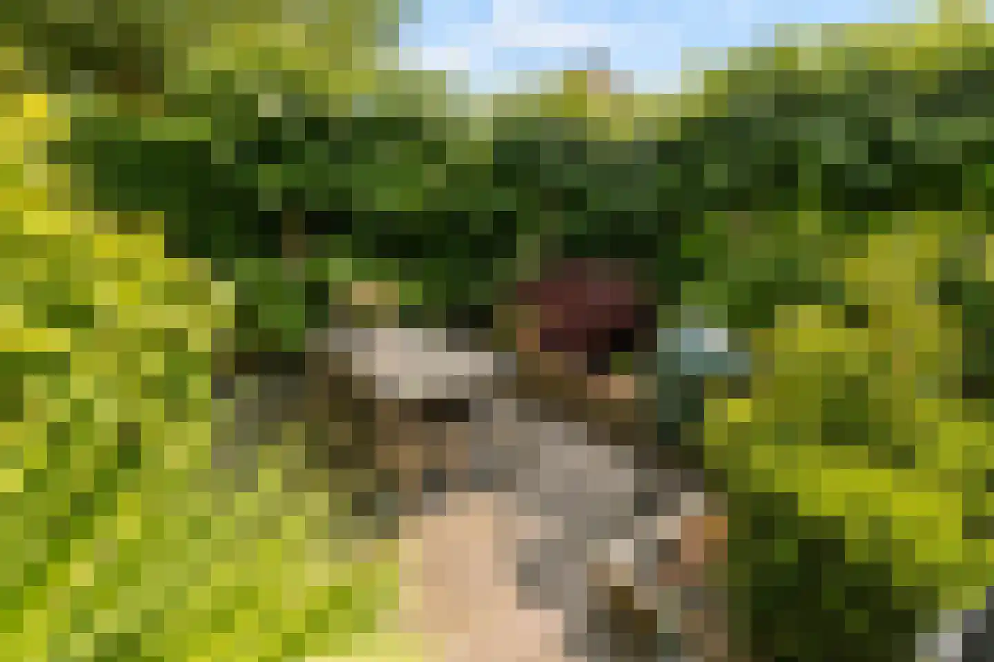 Admiraalsborch 12 Houten thumbnail 42