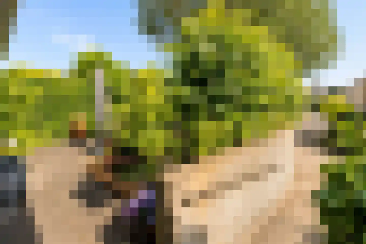 Admiraalsborch 12 Houten thumbnail 43