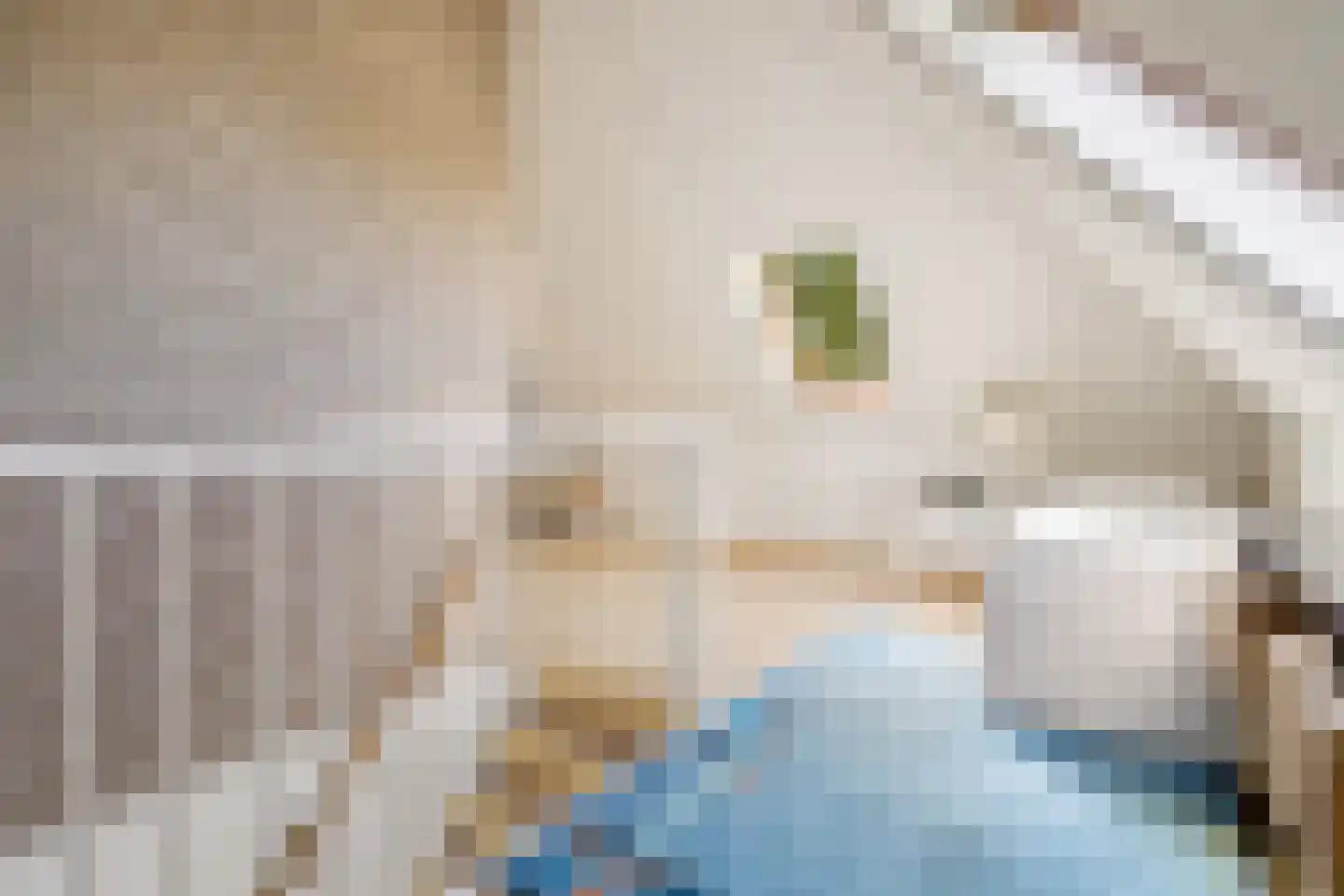Admiraalsborch 12 Houten thumbnail 44