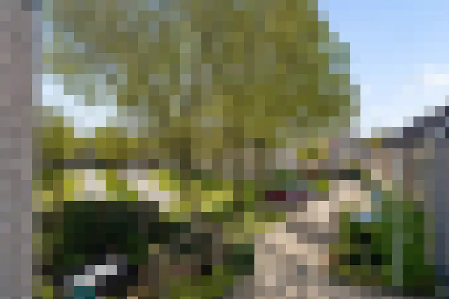 Admiraalsborch 12 Houten thumbnail 46