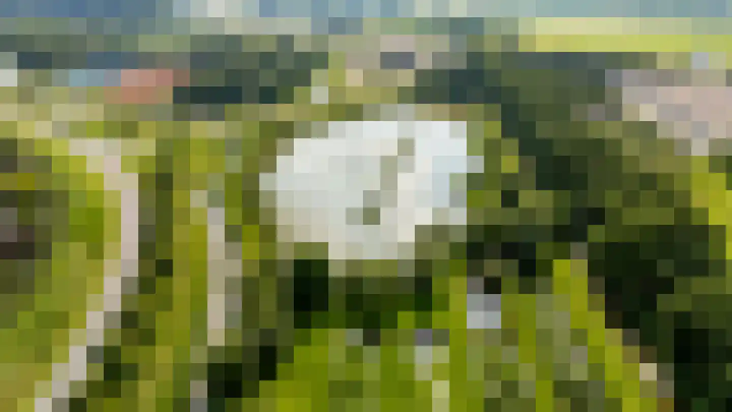 Admiraalsborch 12 Houten thumbnail 47