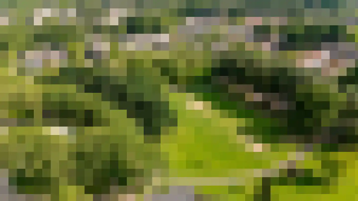 Admiraalsborch 12 Houten thumbnail 48