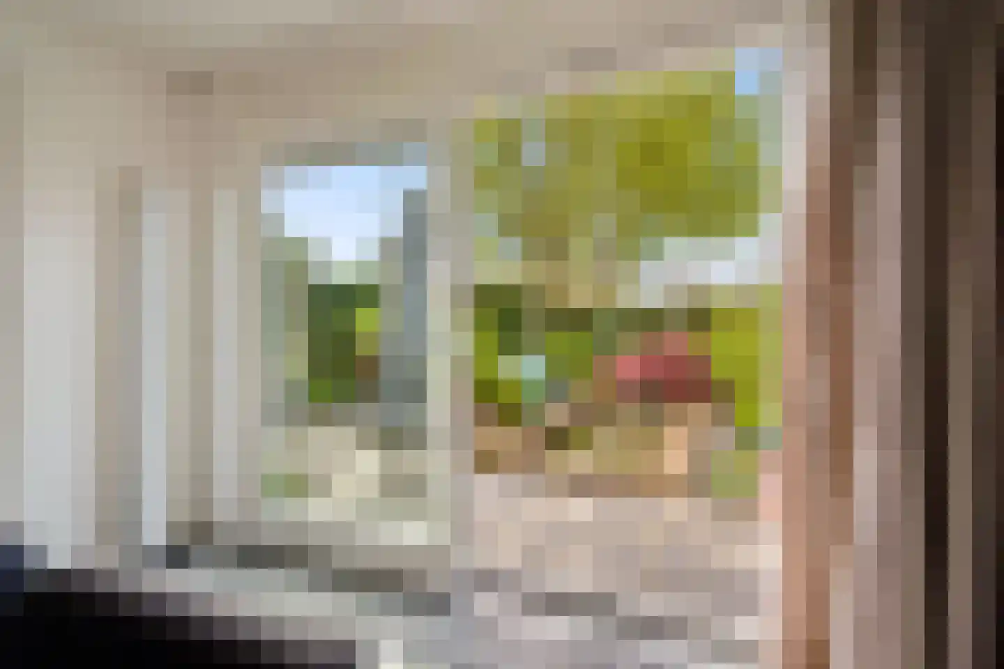 Admiraalsborch 12 Houten thumbnail 51