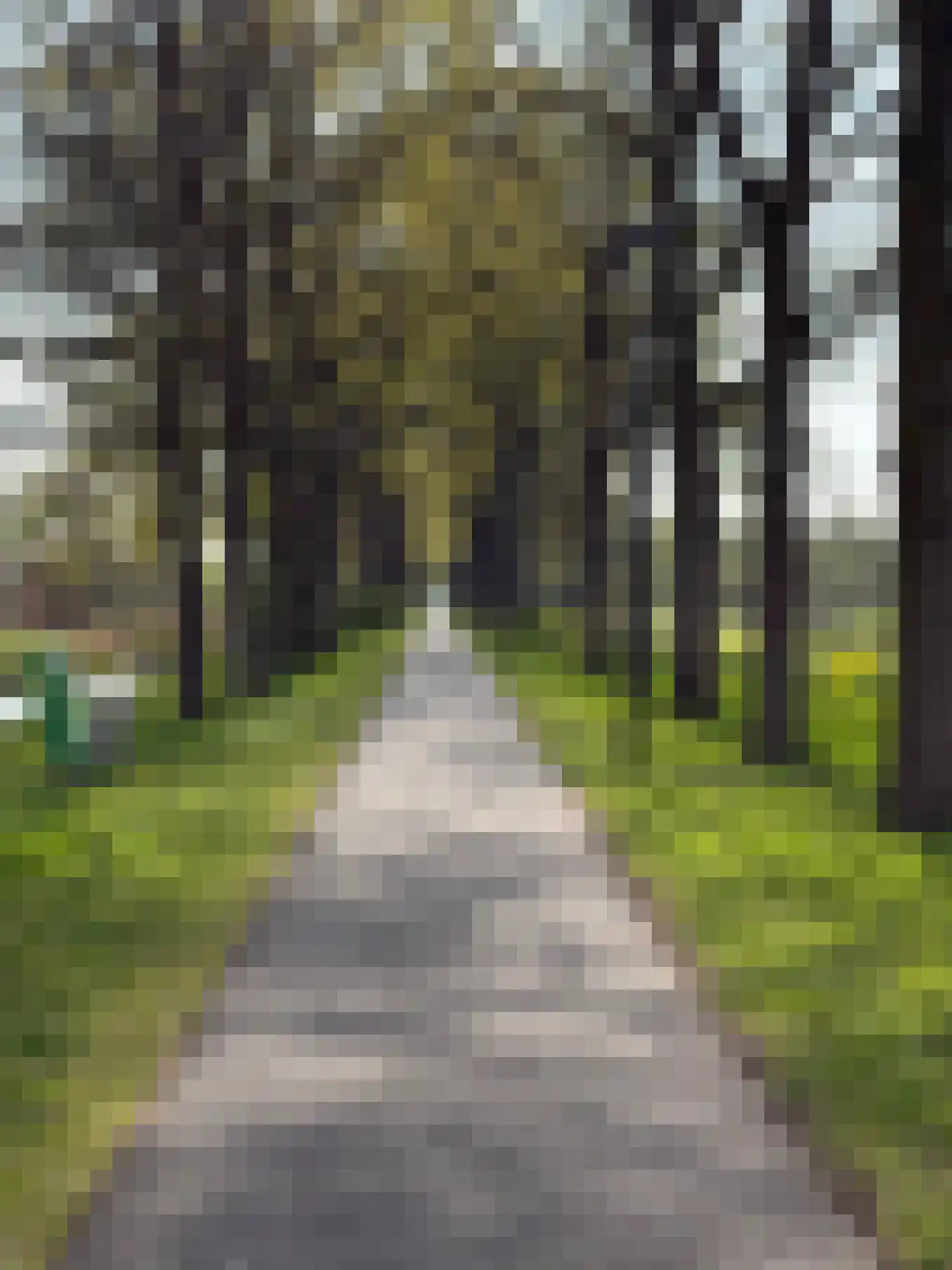 Admiraalsborch 12 Houten thumbnail 61