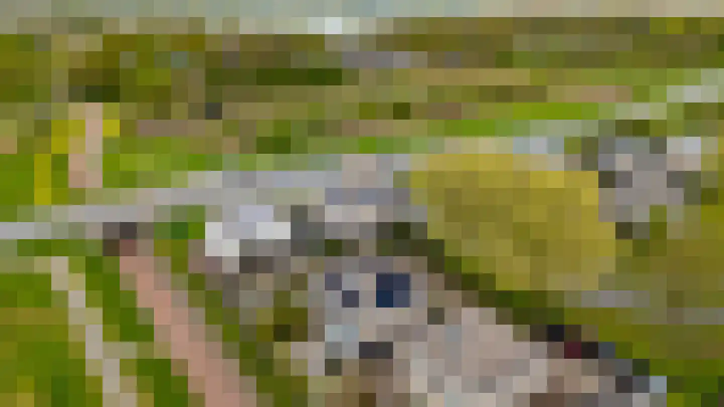 Admiraalsborch 12 Houten thumbnail 67