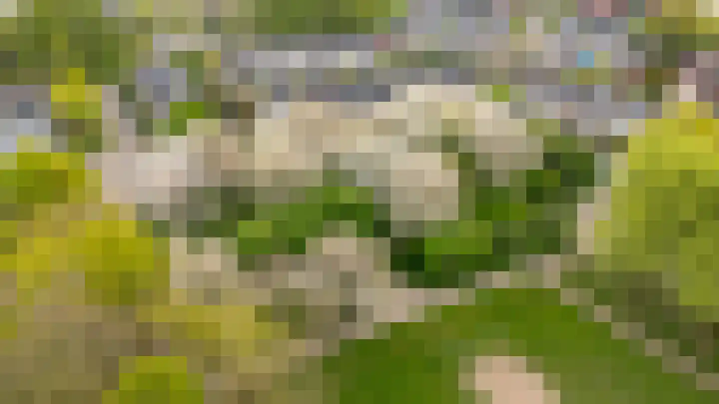 Admiraalsborch 12 Houten thumbnail 69