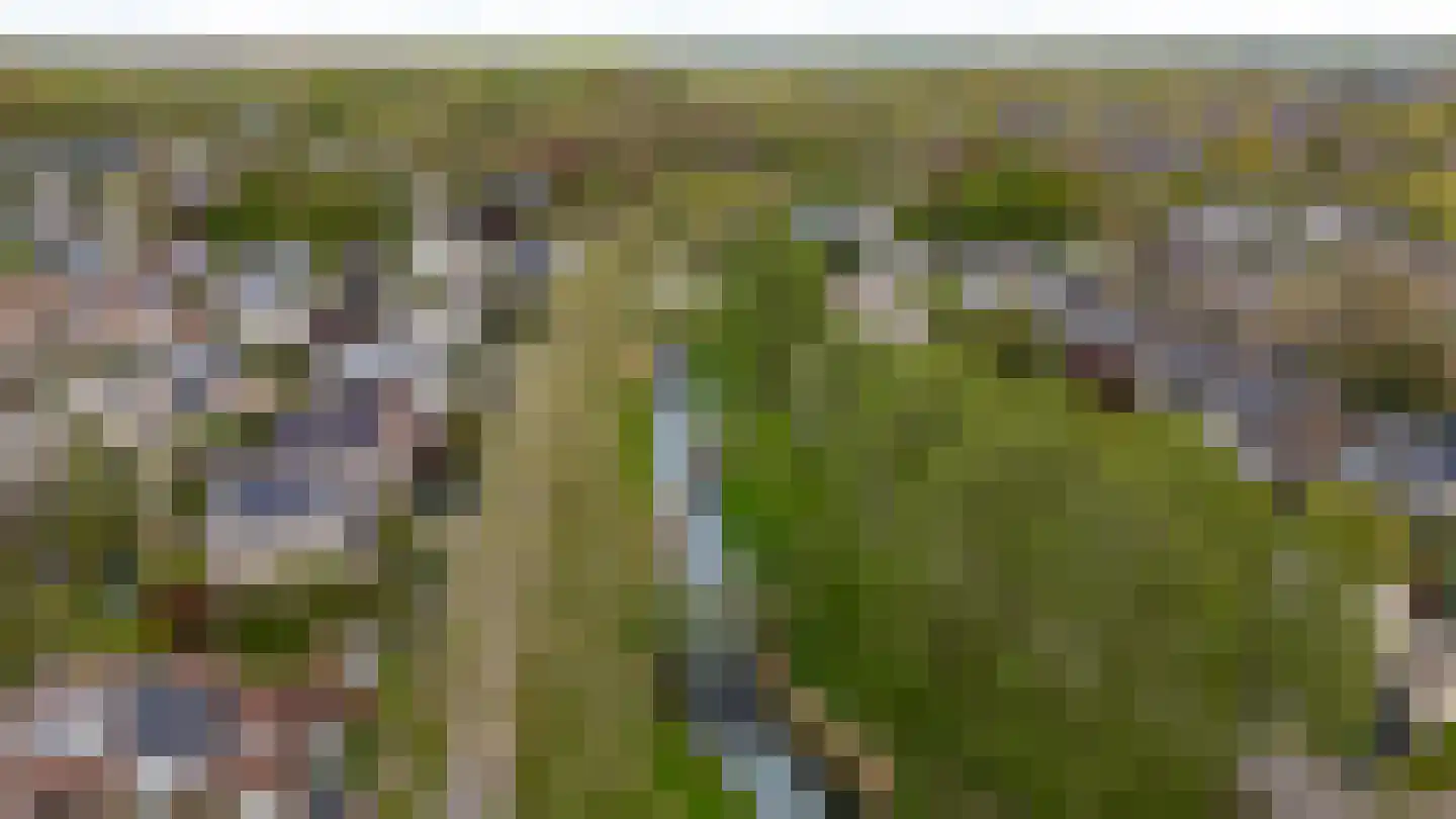 Admiraalsborch 12 Houten thumbnail 71