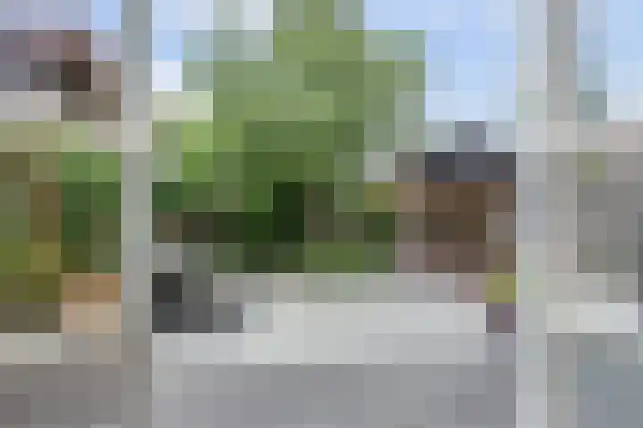 Admiraalsgroet 2 Zuid-Scharwoude thumbnail 11