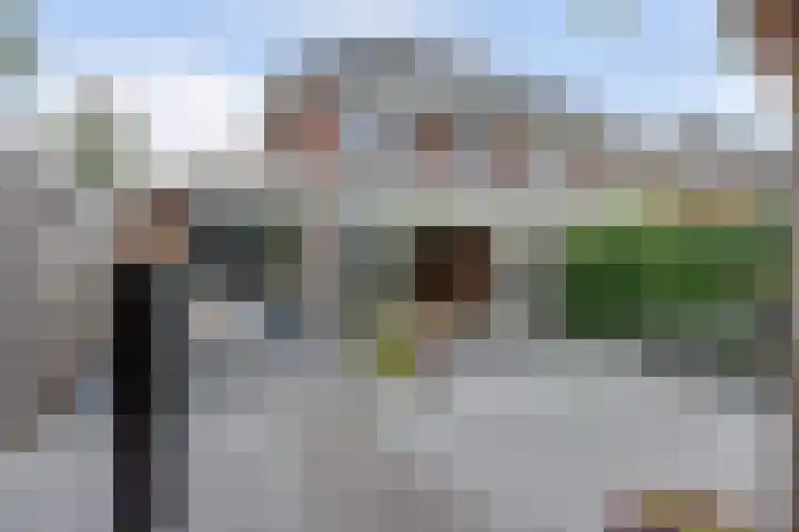 Admiraalsgroet 2 Zuid-Scharwoude thumbnail 12