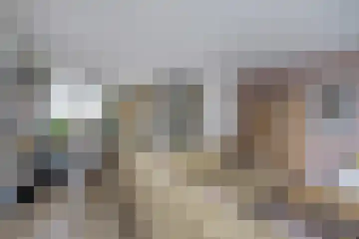 Admiraalsgroet 2 Zuid-Scharwoude thumbnail 13