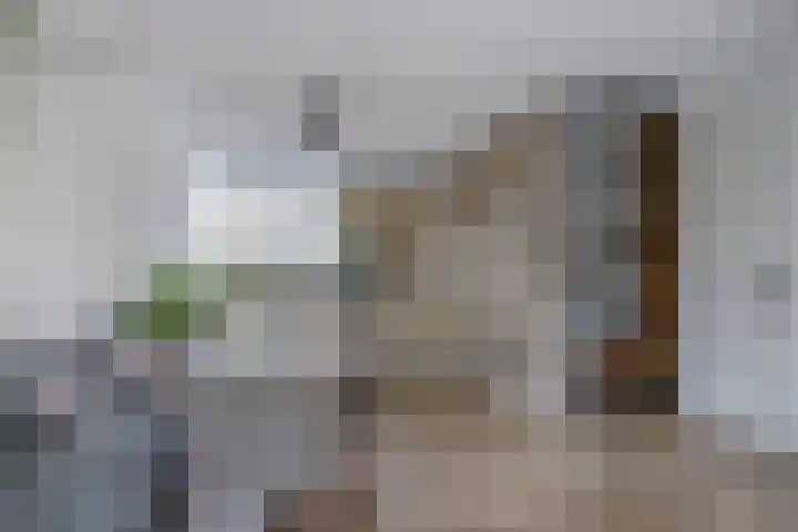 Admiraalsgroet 2 Zuid-Scharwoude thumbnail 14