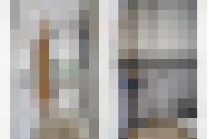 Admiraalsgroet 2 Zuid-Scharwoude thumbnail 21
