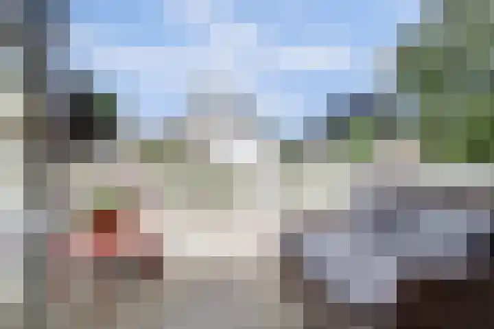 Admiraalsgroet 2 Zuid-Scharwoude thumbnail 25