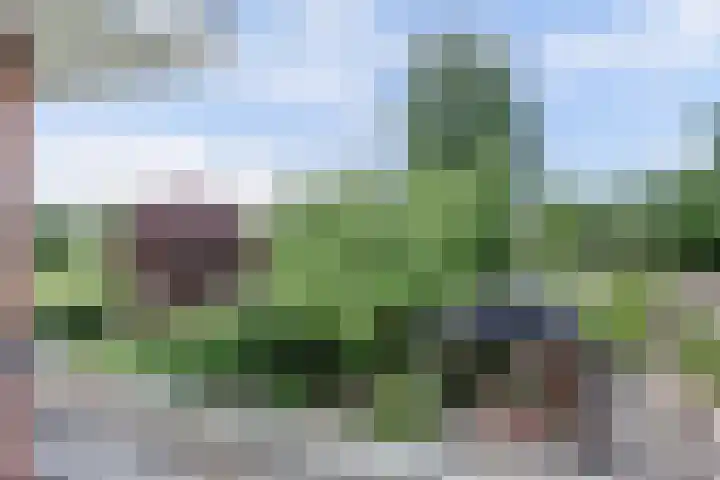 Admiraalsgroet 2 Zuid-Scharwoude thumbnail 26