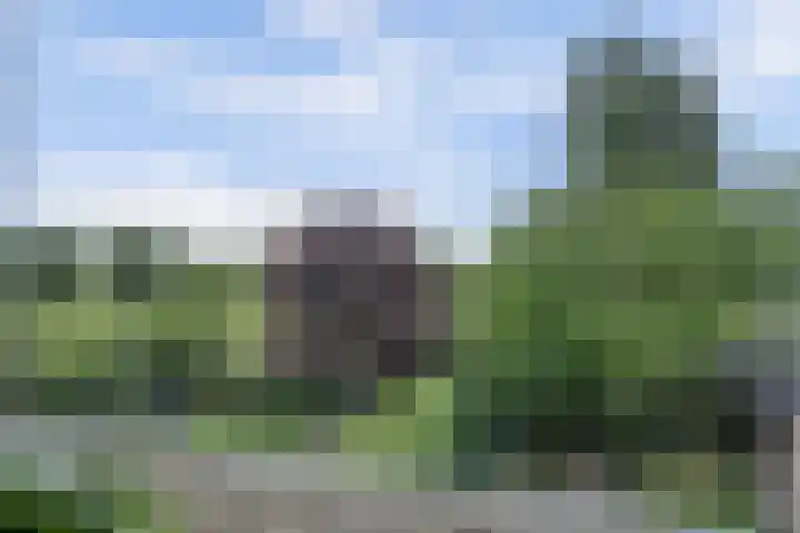 Admiraalsgroet 2 Zuid-Scharwoude thumbnail 27