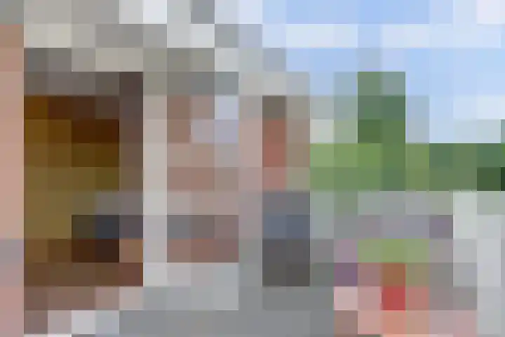 Admiraalsgroet 2 Zuid-Scharwoude thumbnail 28