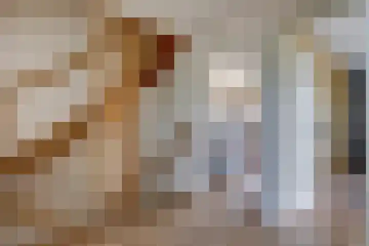 Admiraalsgroet 2 Zuid-Scharwoude thumbnail 36