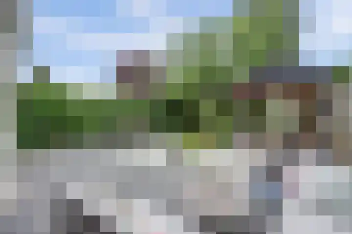 Admiraalsgroet 2 Zuid-Scharwoude thumbnail 44