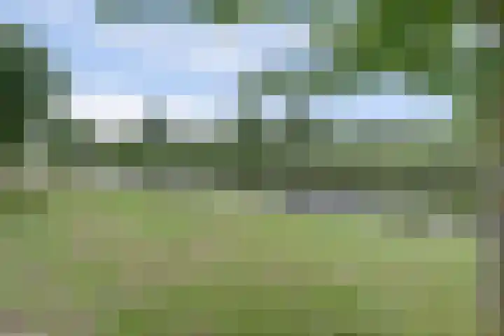 Admiraalsgroet 2 Zuid-Scharwoude thumbnail 49