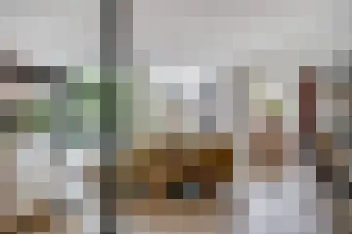 Admiraalsgroet 2 Zuid-Scharwoude thumbnail 5