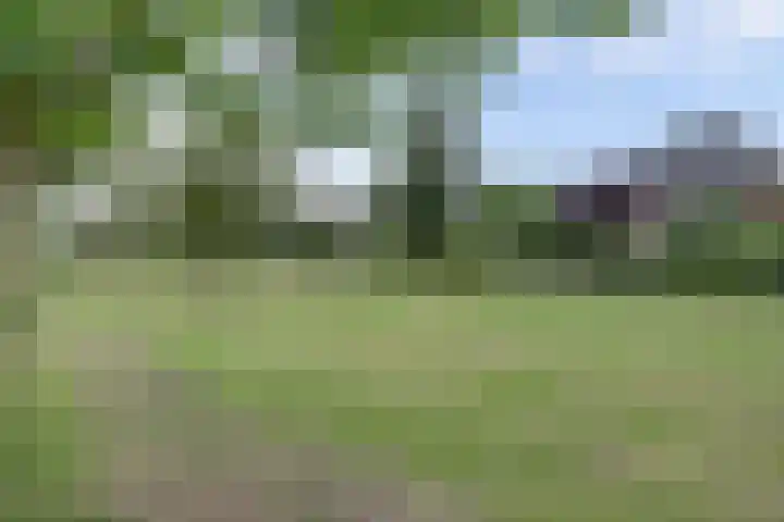 Admiraalsgroet 2 Zuid-Scharwoude thumbnail 50