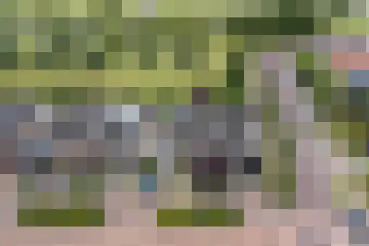 Admiraalsgroet 2 Zuid-Scharwoude thumbnail 54