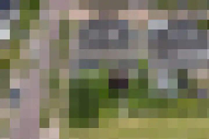 Admiraalsgroet 2 Zuid-Scharwoude thumbnail 56