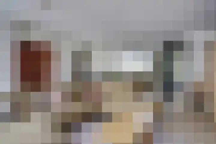 Admiraalsgroet 2 Zuid-Scharwoude thumbnail 6