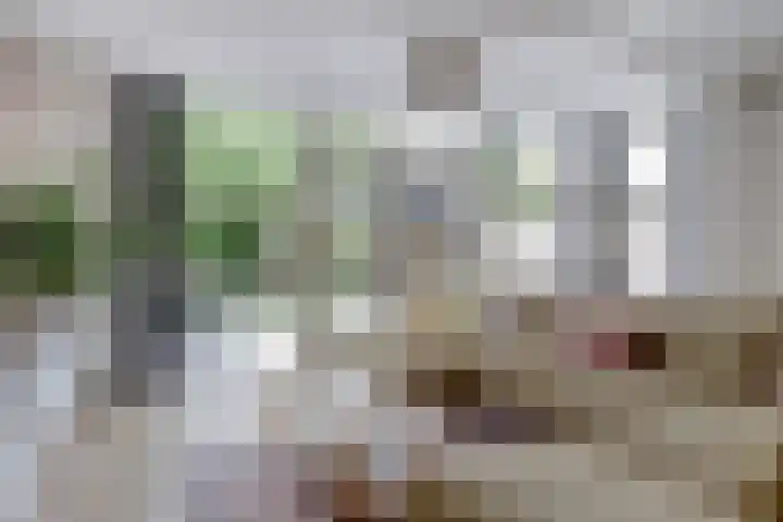 Admiraalsgroet 2 Zuid-Scharwoude thumbnail 8