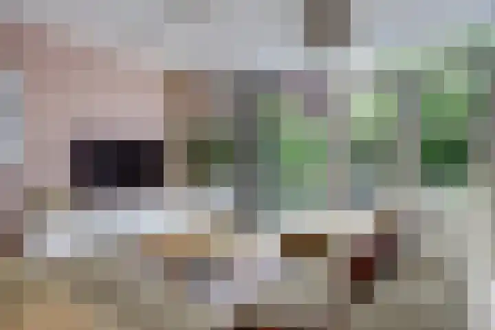 Admiraalsgroet 2 Zuid-Scharwoude thumbnail 9