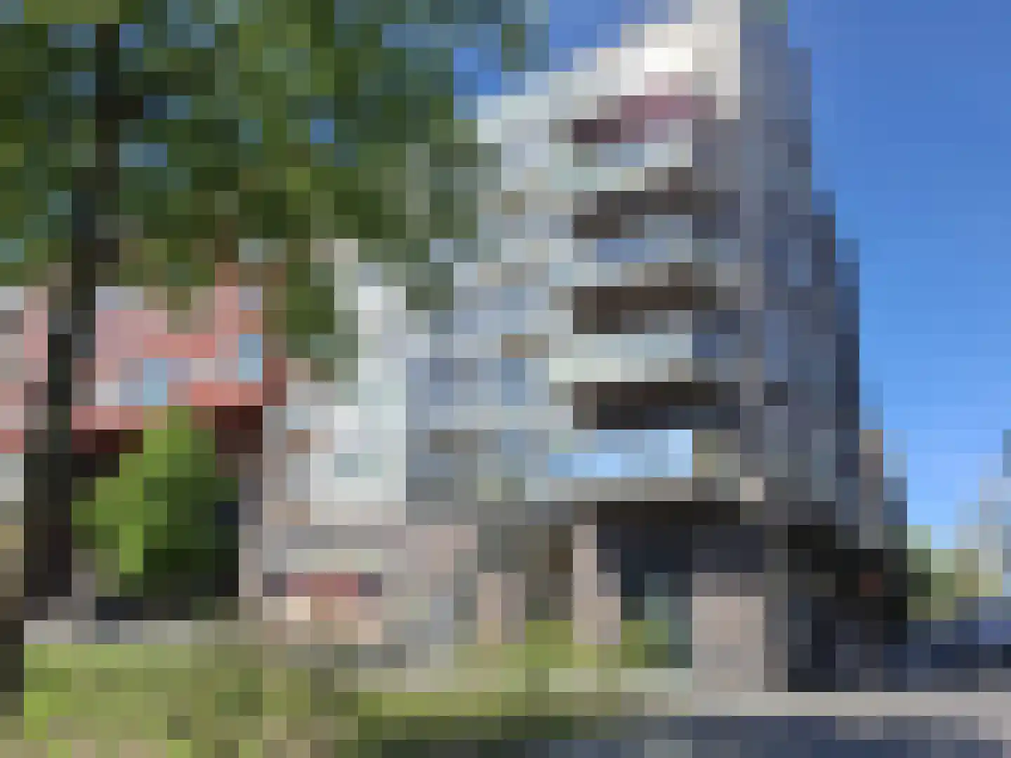 Admiraalsplein 113 Dordrecht thumbnail 13