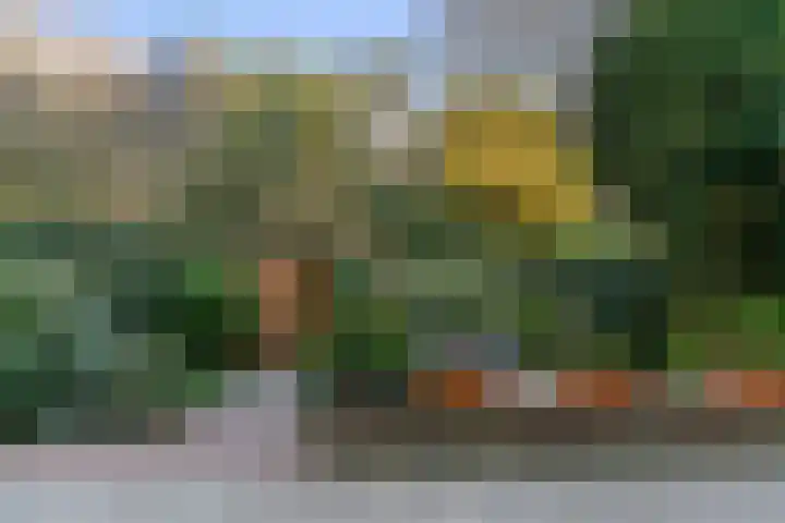 Admiraalsplein 113 Dordrecht thumbnail 6