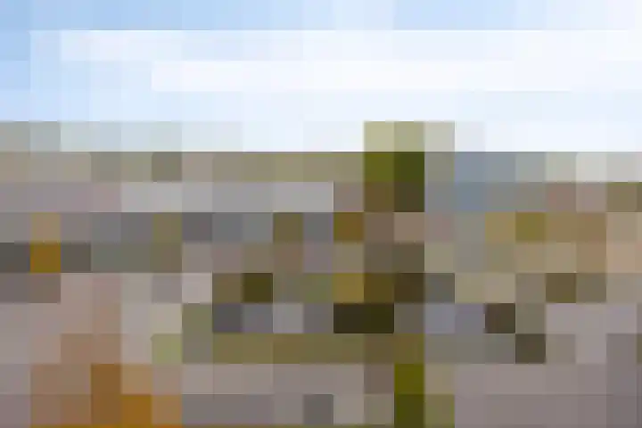 Admiraalsplein 114 Dordrecht thumbnail 37